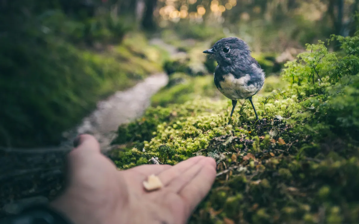 The Secret to Repeat Customers: Building Trust