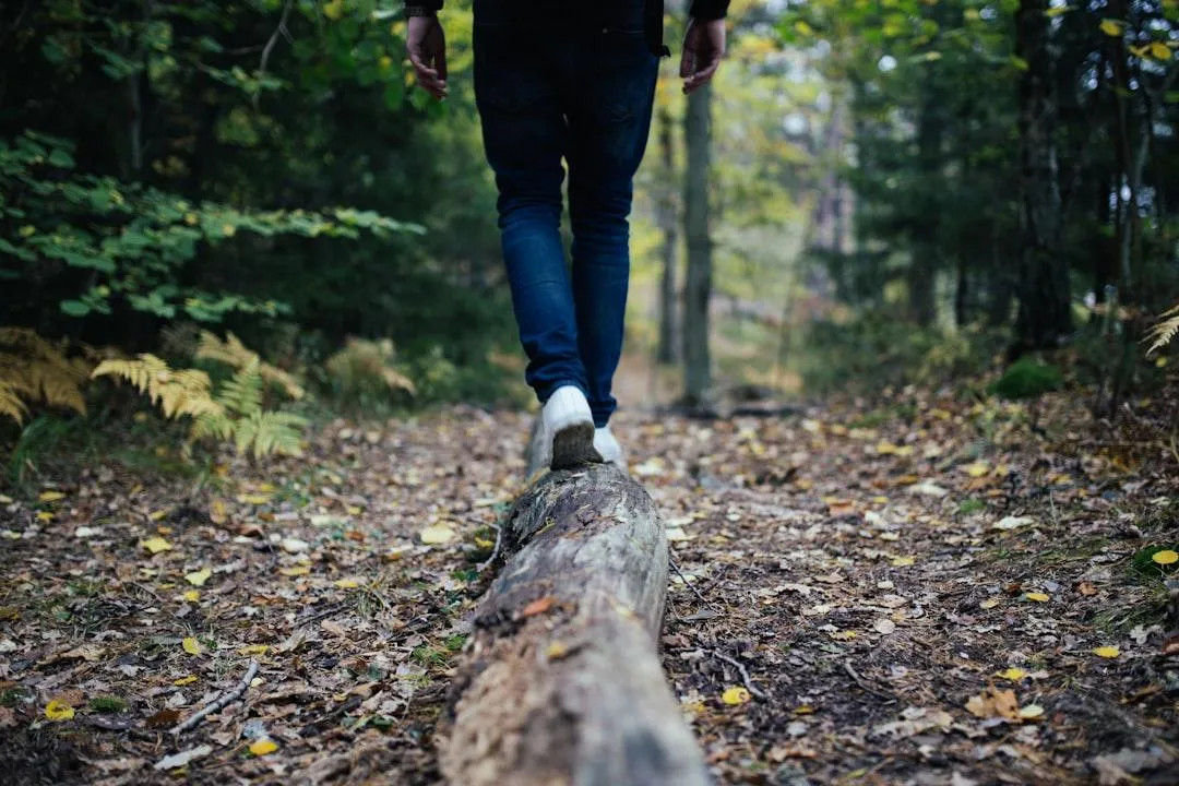 Balance Isn’t a Myth—It’s a Seasonal Practice