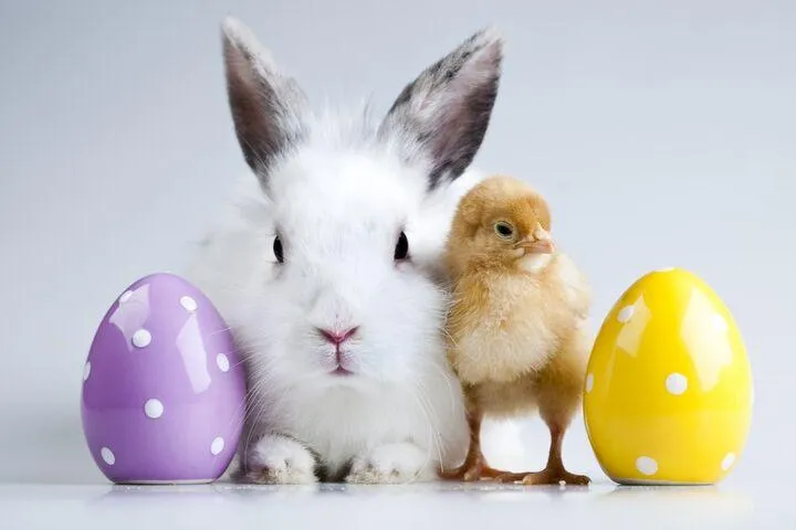 How Pricier Is It at Easter This Year? From Pressure to Progress