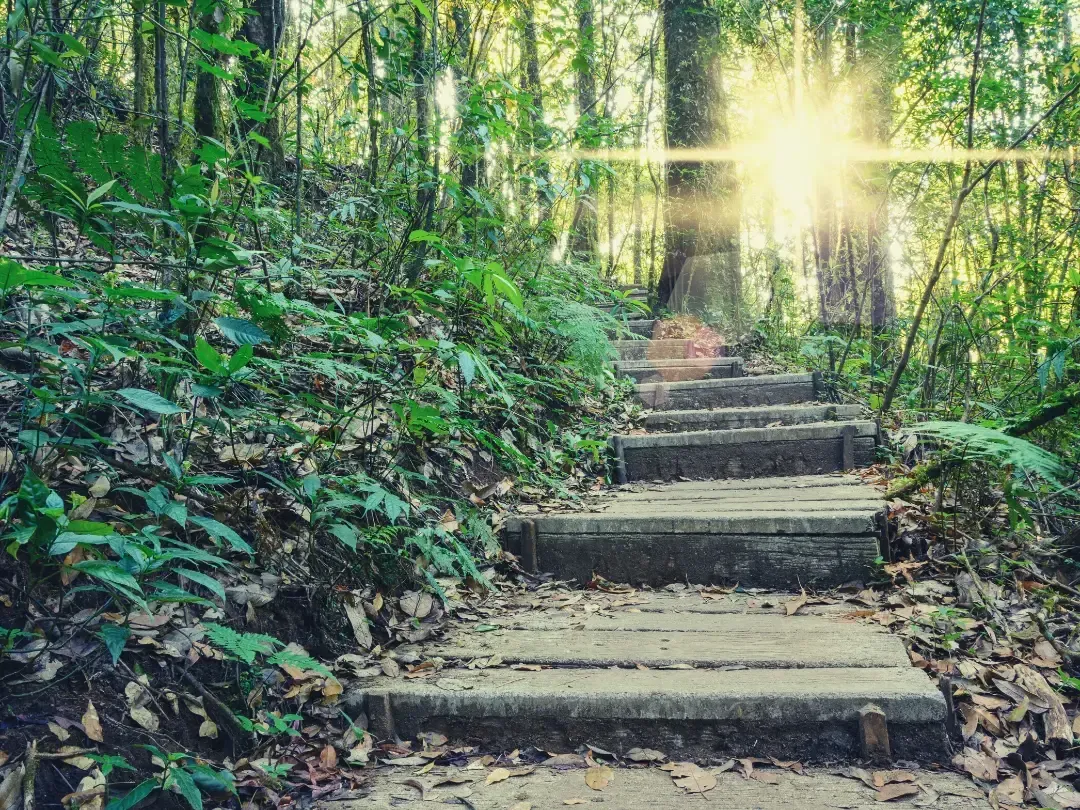 How Do You Live? Reflections From a Hospice Nurse.