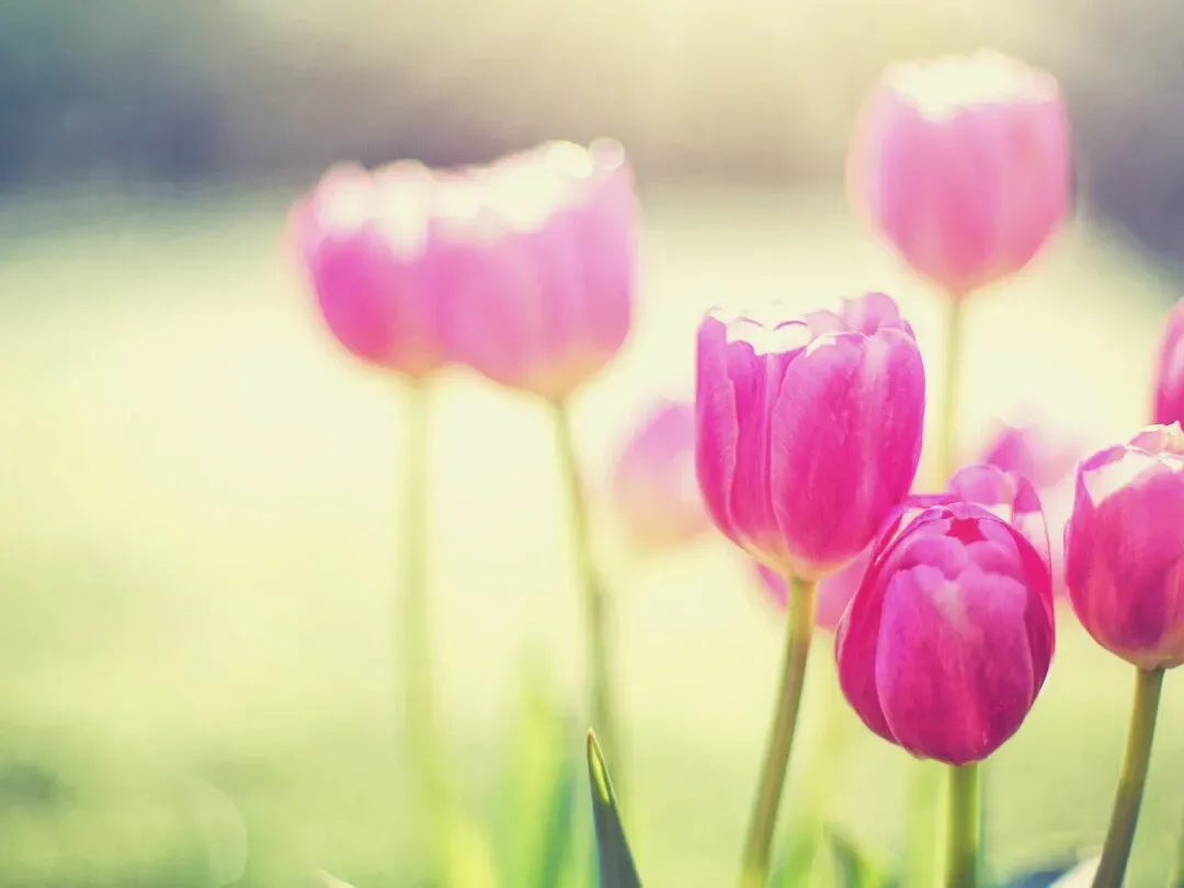 Beauty, Love, and Peace Can Be Found