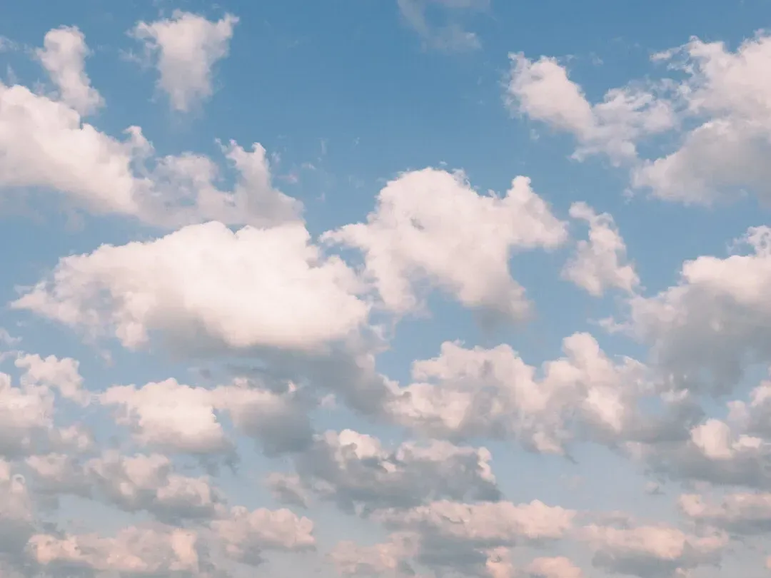 Find More Pockets of Peace and Joy