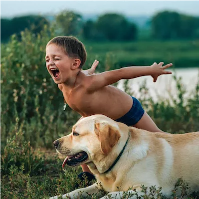 dog and young boy