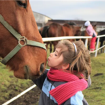 horse and young person rubbing noses