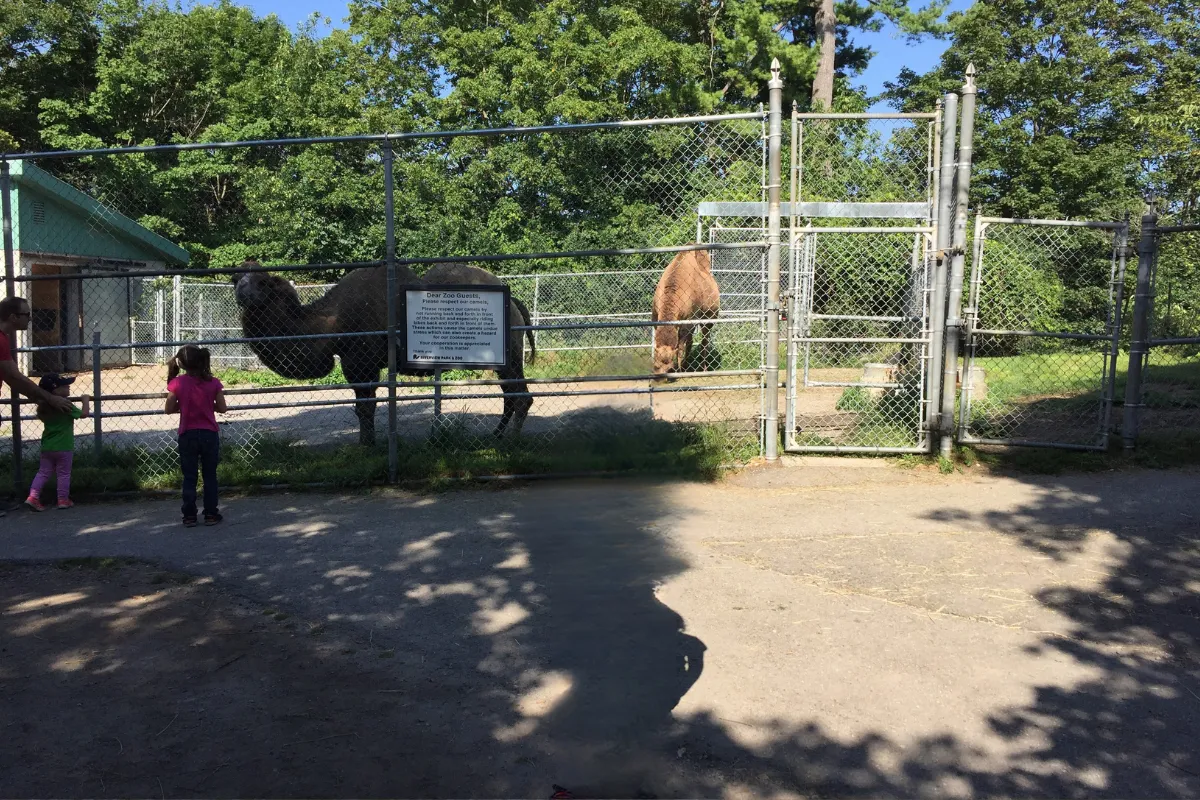 Riverview Park and Zoo