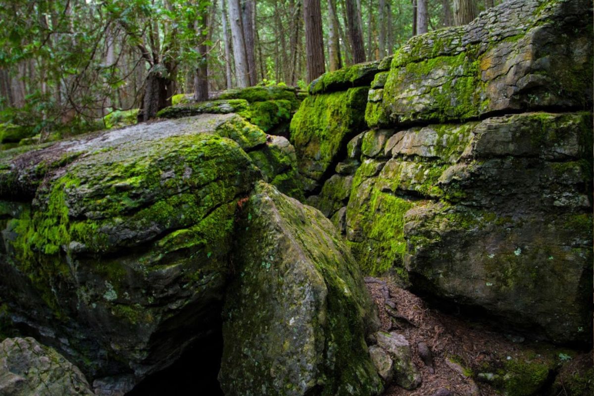 A Natural Wonder in Peterborough County