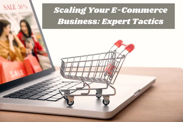 Scaling Your E-Commerce Business: Expert Tactics