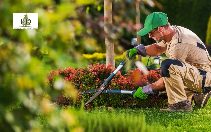 affordable landscaping in Tigard OR