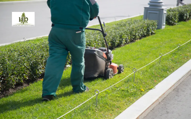landscape installation near me