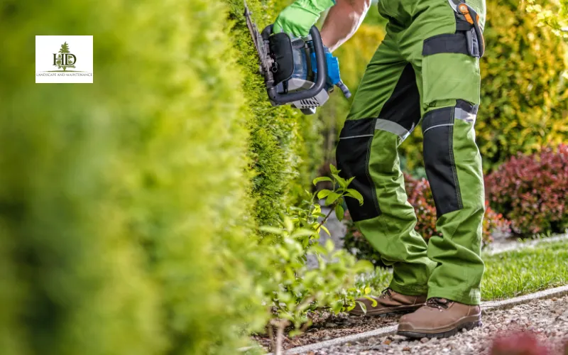 Lawn Care Services in My Area – Wilsonville, OR Experts