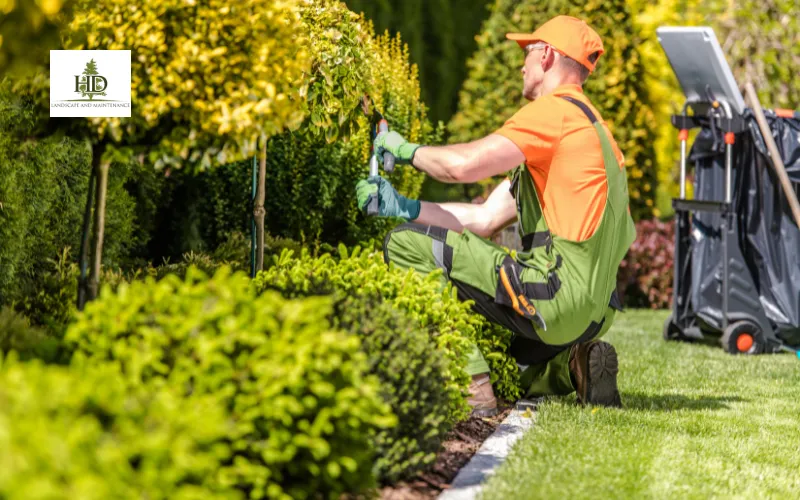 Expert Residential Landscape Maintenance in Lake Oswego