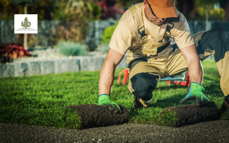 Quality Lawn Care in Wilsonville OR – Expert Tips