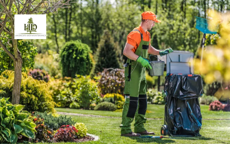 Local Lawn Care Tualatin OR | Trusted Lawn Experts