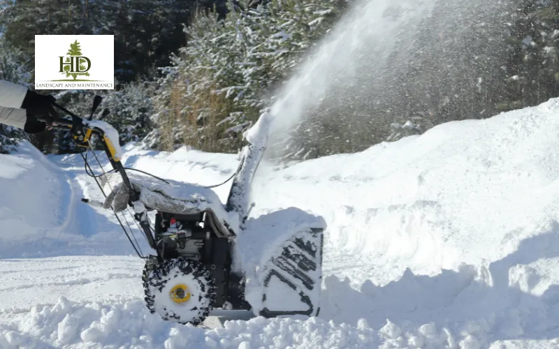 Snow Removal Services: How Can You Avoid Costly Winter Damage?