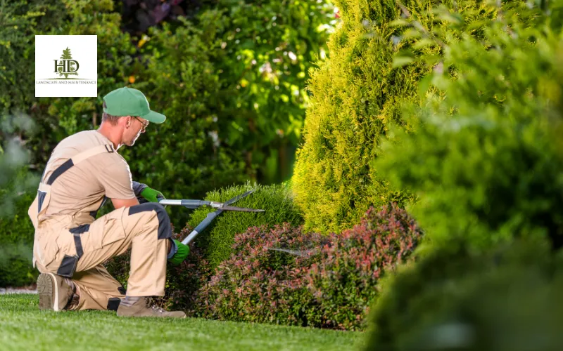 How Do I Find the Best Landscaping Services Near Me?