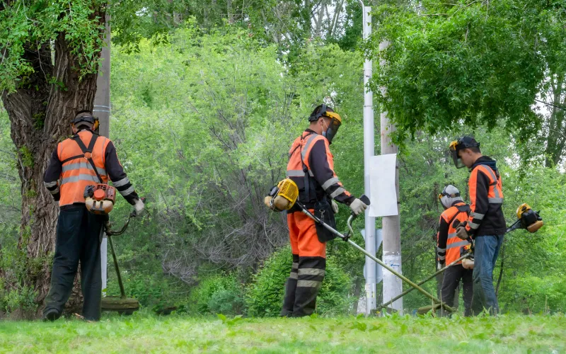 Professional Lawn Care Services