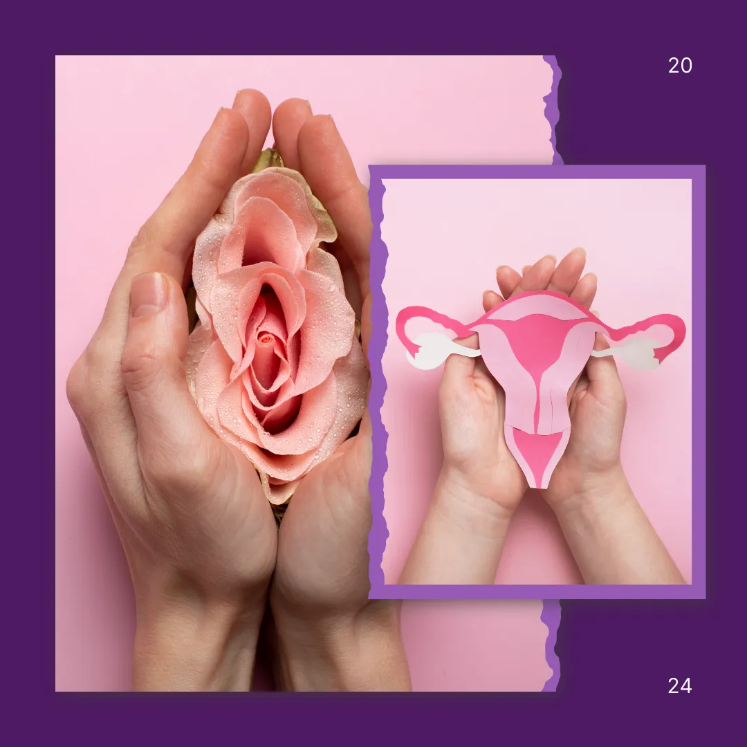 The 2025 GSM Guidelines: What Clinicians and Midlife Women Need to Know