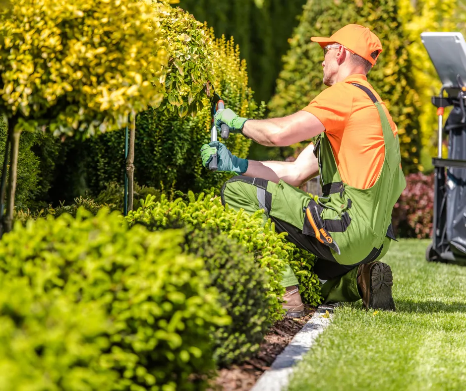landscaping business