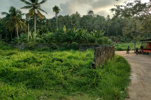 Land for sale at Kallayam Ennikara Trivandrum