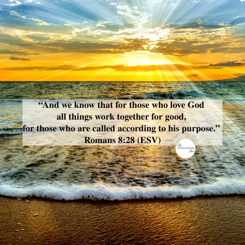 Created by Canva & Melanie