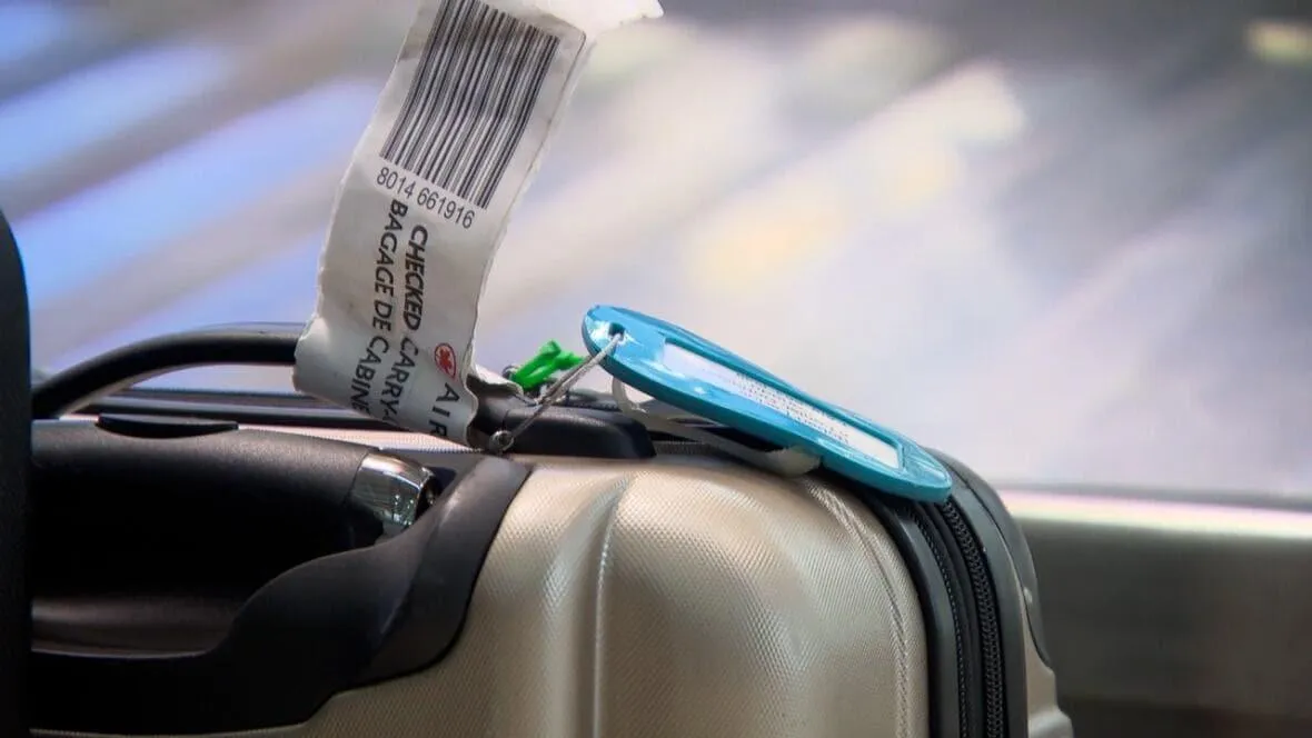 Before You Board That Flight... Read This (Seriously!)