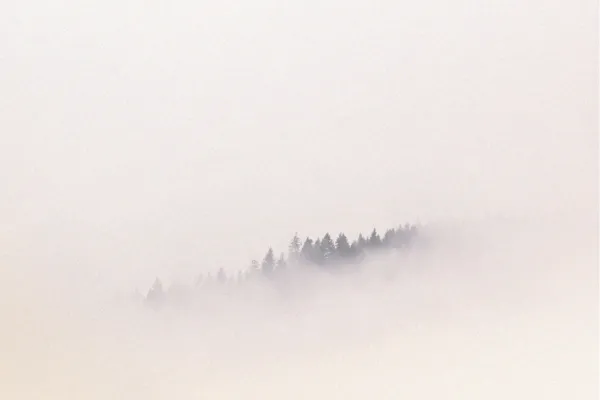 setting boundaries