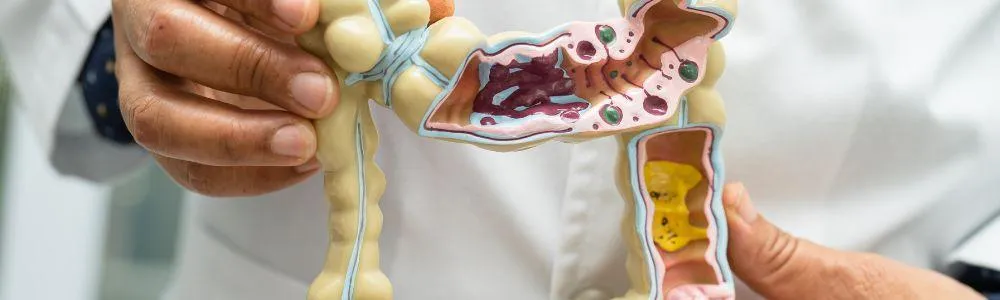 Healing Through Digestion: How Fixing Your Gut Can Cure Disease