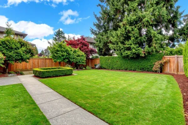 Top Reasons to Hire a Professional Landscape Company in San Tan Valley, AZ