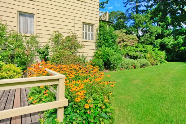 Top Landscaping Services in San Tan Valley, AZ | Expert Guide for Homeowners