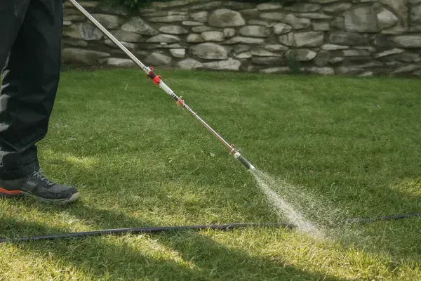 Weed Spraying in San Tan Valley, AZ | Seasonal Guide for Homeowners