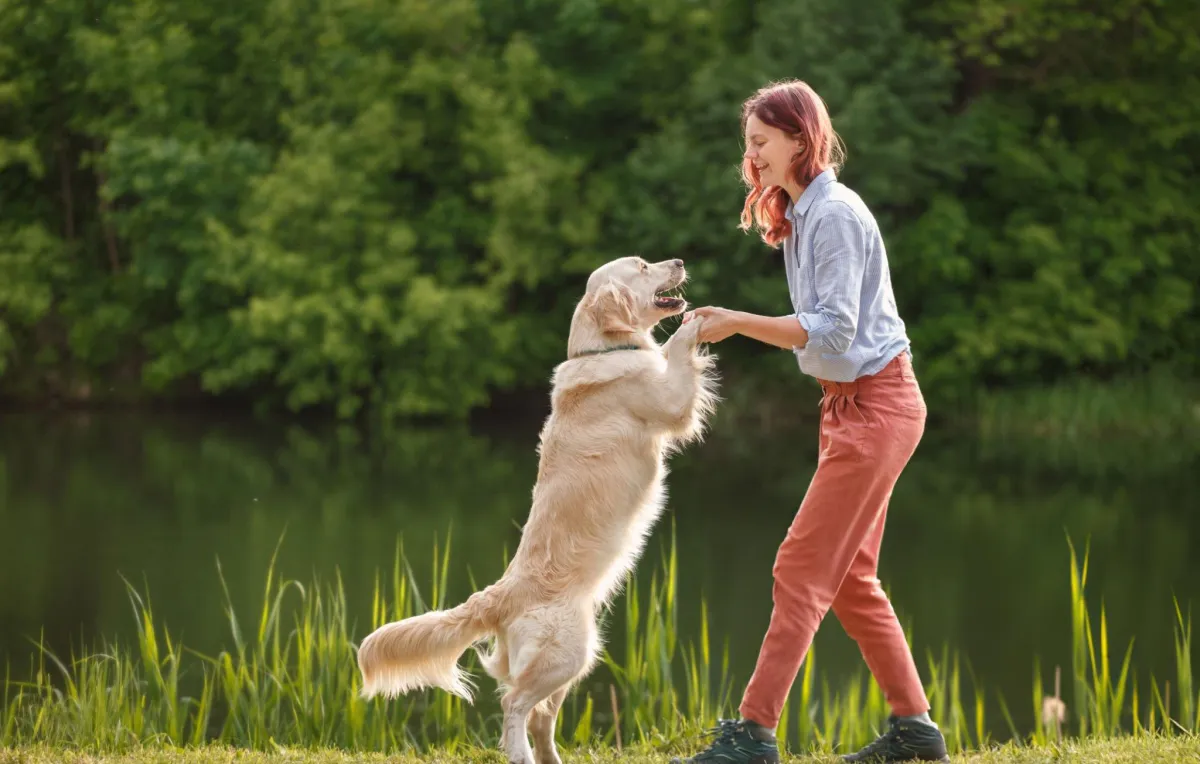 when to seek a dog behaviour expert