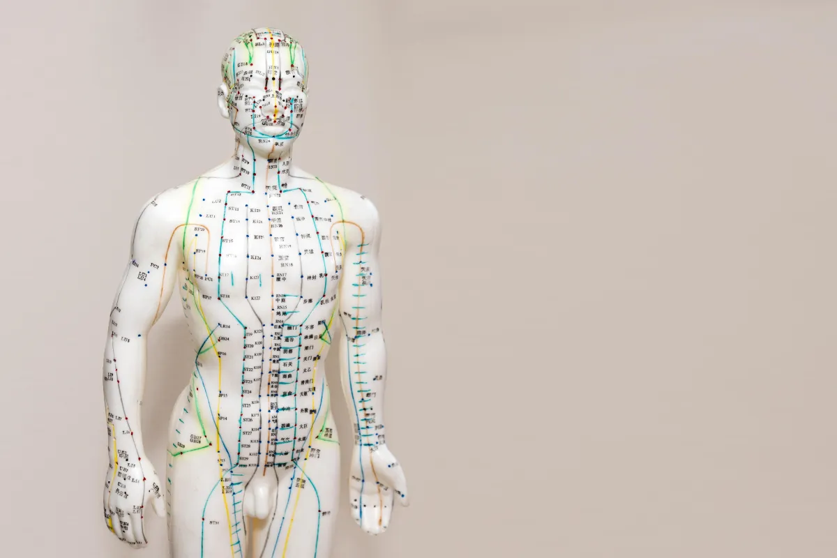 How does acupuncture work?