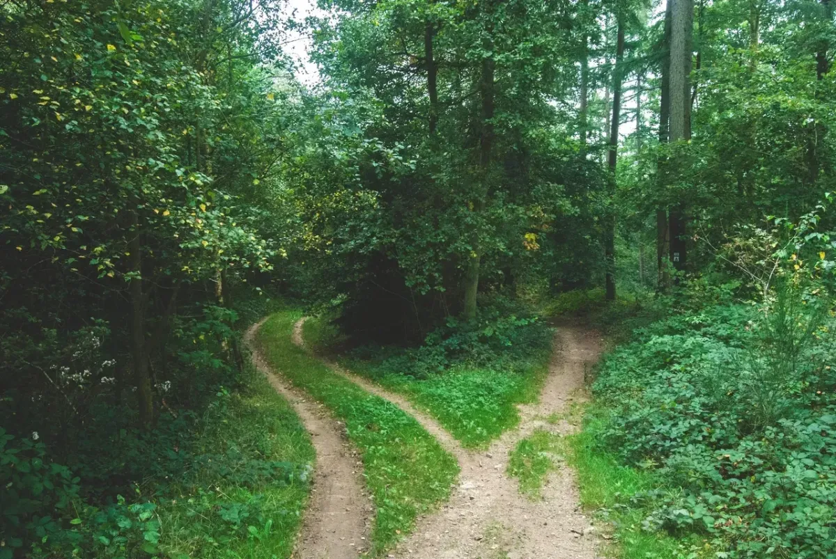 hypnotherapy- green nature