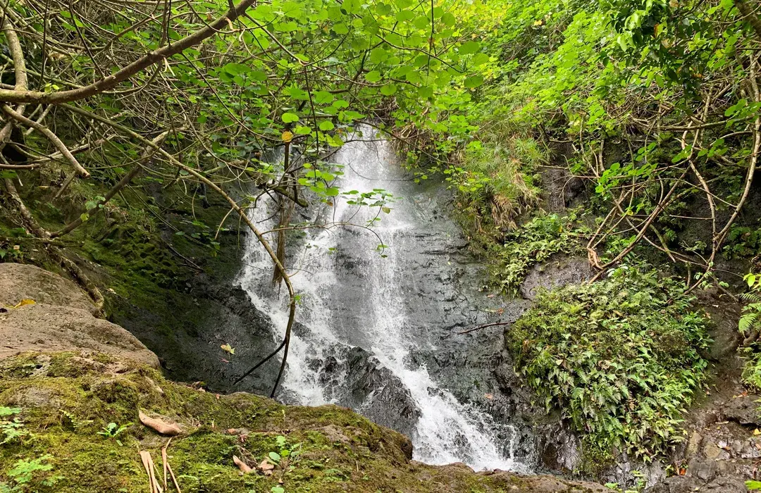 Hiking the Likelike Trail: A Hidden Gem in Honolulu