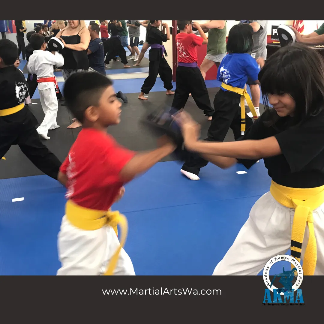 bellevue martial arts classes  image