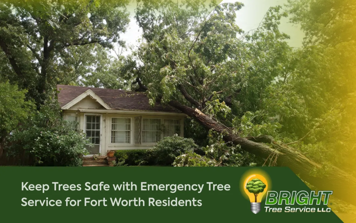 Emergency Tree Service for Fort Worth after severe storm damage in a residential yard