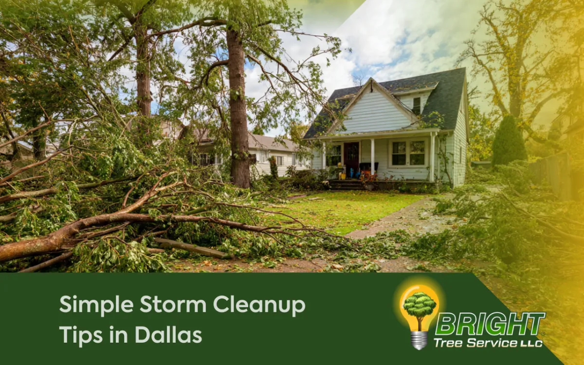 Simple Storm Cleanup Tips in Dallas