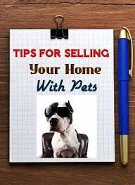 Tips for selling your home with pets
