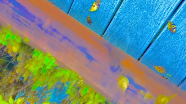 A stylized, abstract image of autumn leaves scattered across a vivid blue wooden surface, with a contrasting orange-pink strip and bright green foliage below—evoking themes of transition, alignment, and creative perspective.