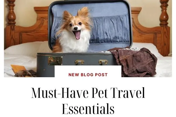 Selection of pet travel gear including carriers, bowls, and travel accessories for a comfortable journey.