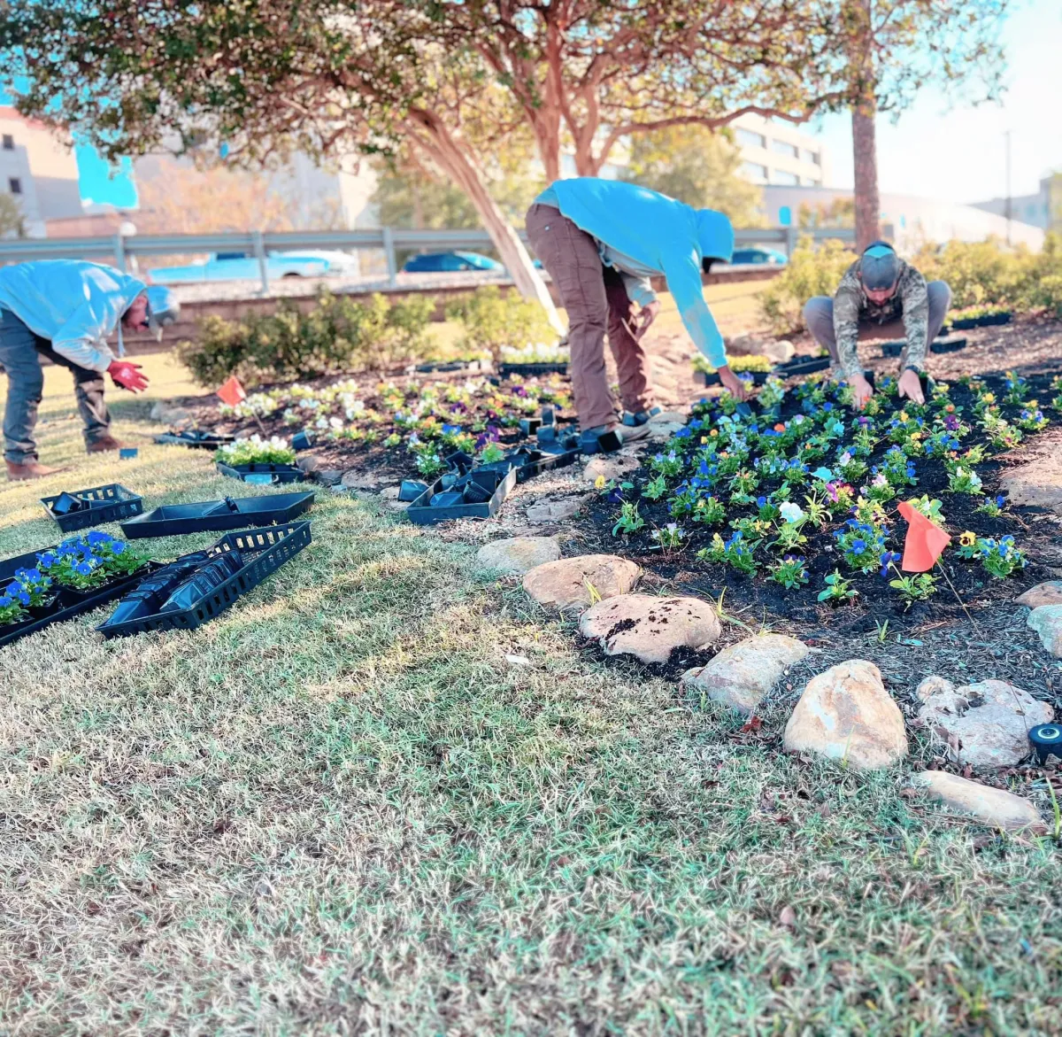 landscaping picture tupelo ms, tupelo ms lawn care services, landscaping services tupelo ms