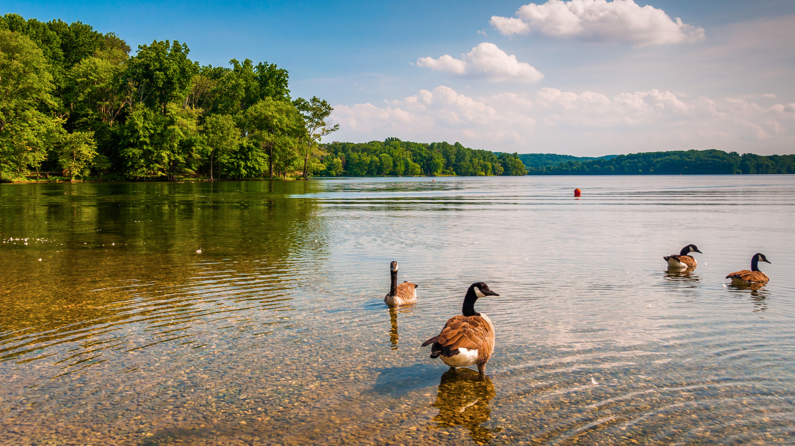 Top Areas in Towson, MD Where Rideshare Drivers Make the Most Money | Five Star Car Rentals, Towson, MD