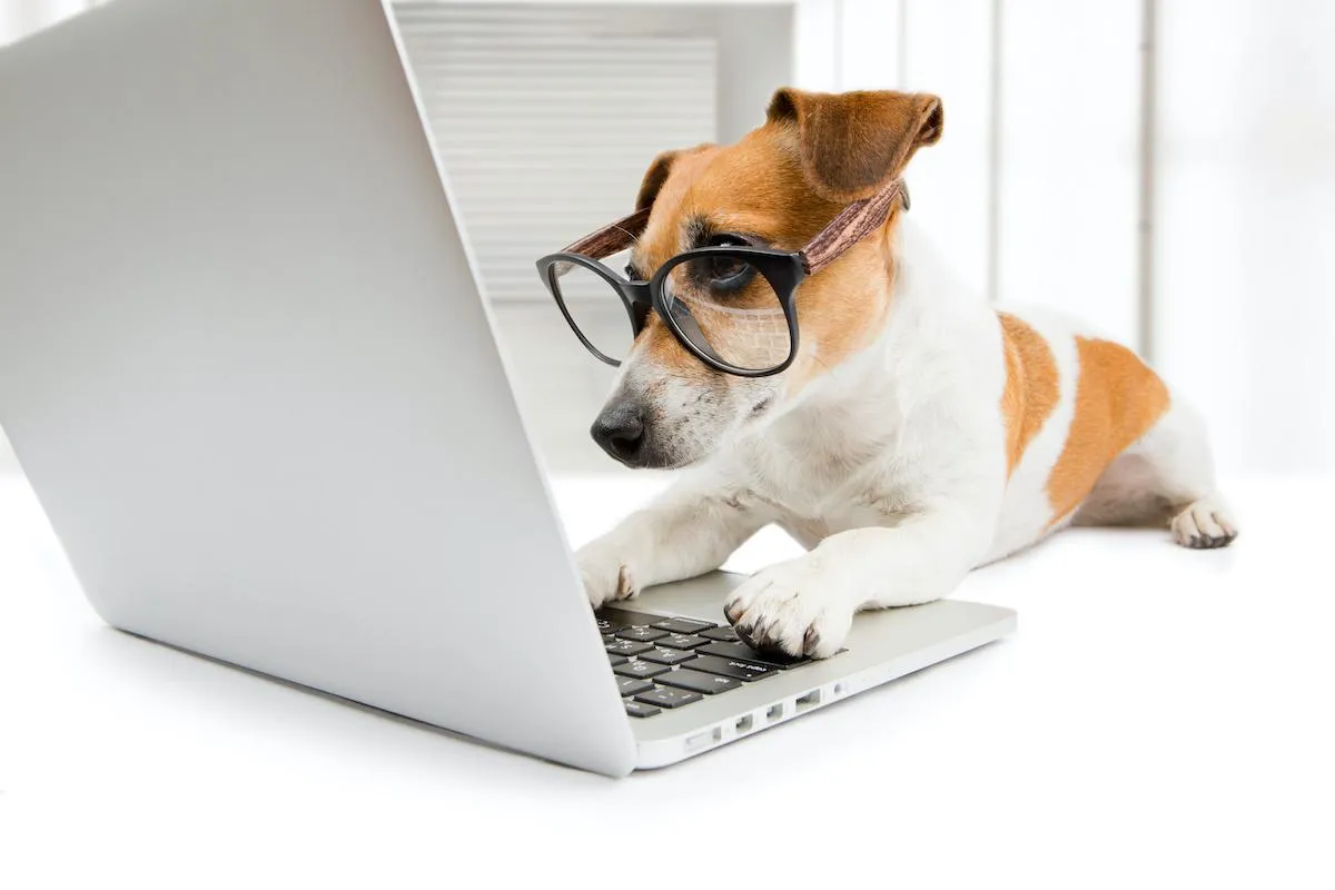 Wire Fraud in Real Estate: How to Protect Your Funds
