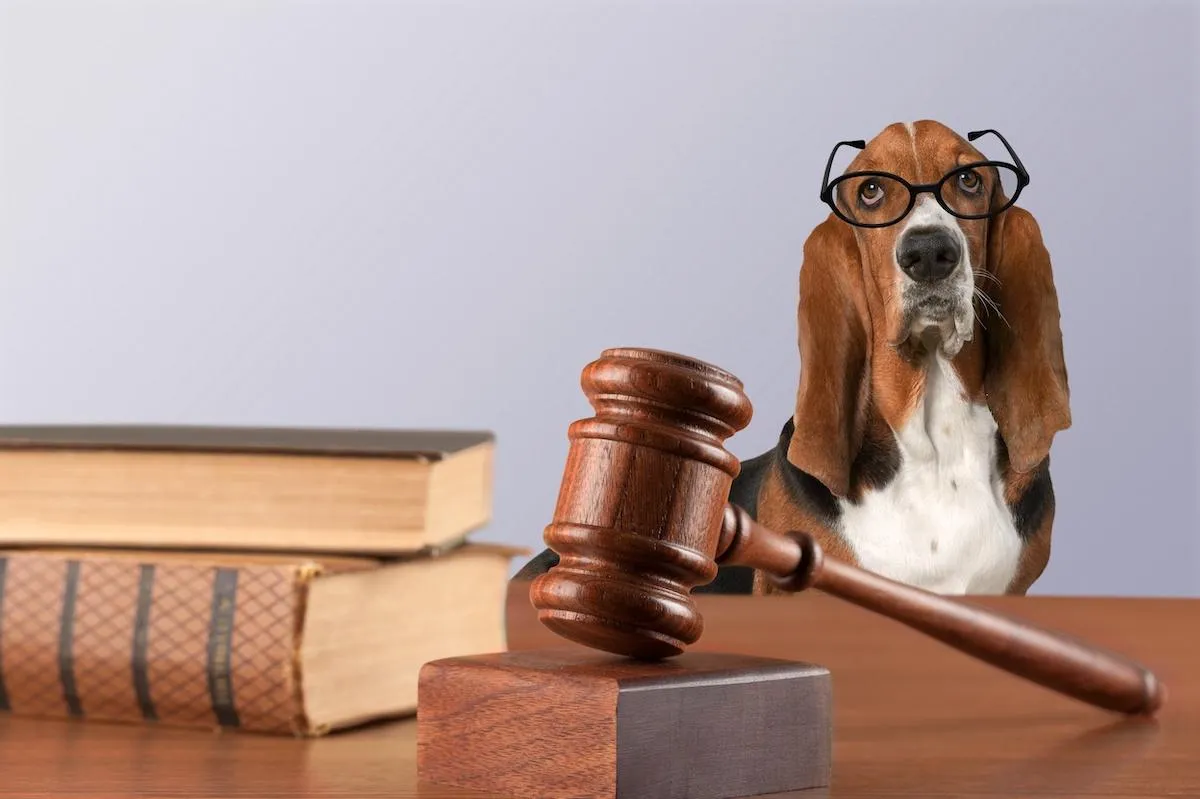 Escrow Implications from the NAR Settlement