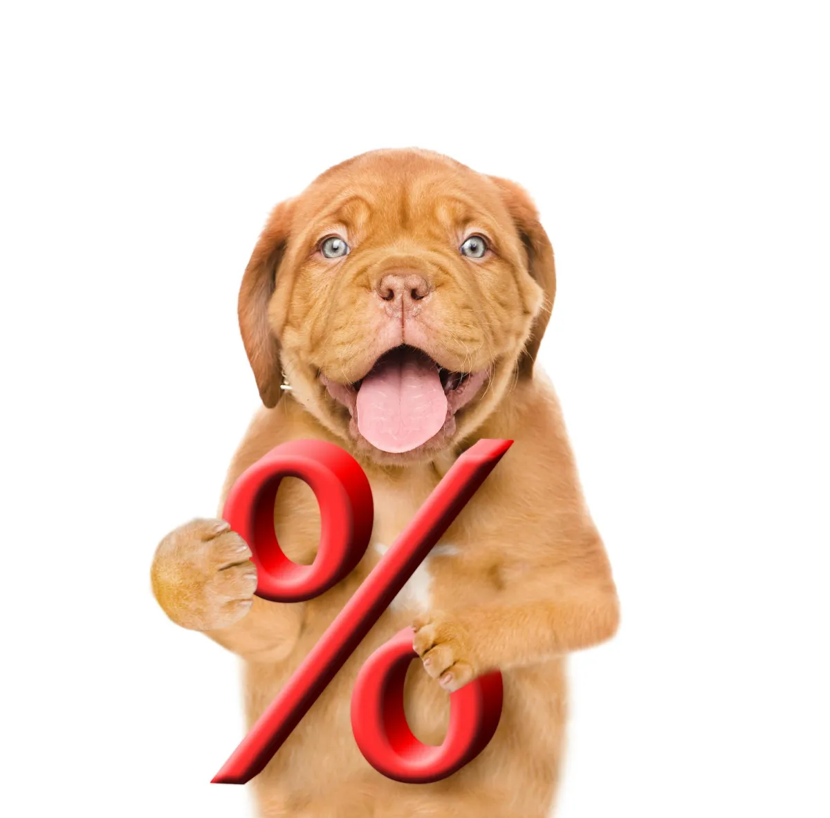 Despite Rising Interest Rates, Mortgage Rates Remain Historically Low