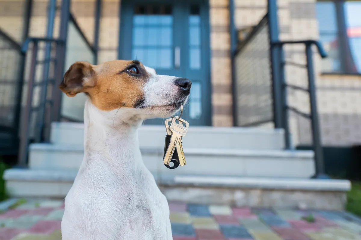 6 Tips to Sell in a High-Interest Market