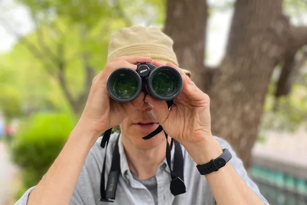 Birdwatching 101: Getting Started Guide