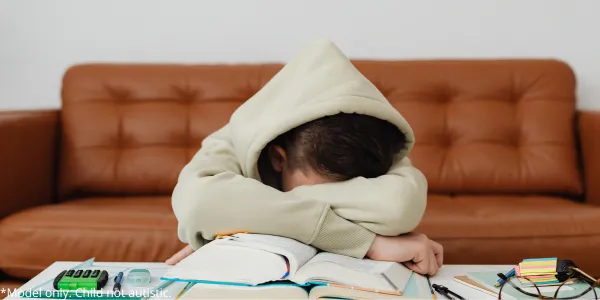 Executive functioning skills in ABA Blog Post Image