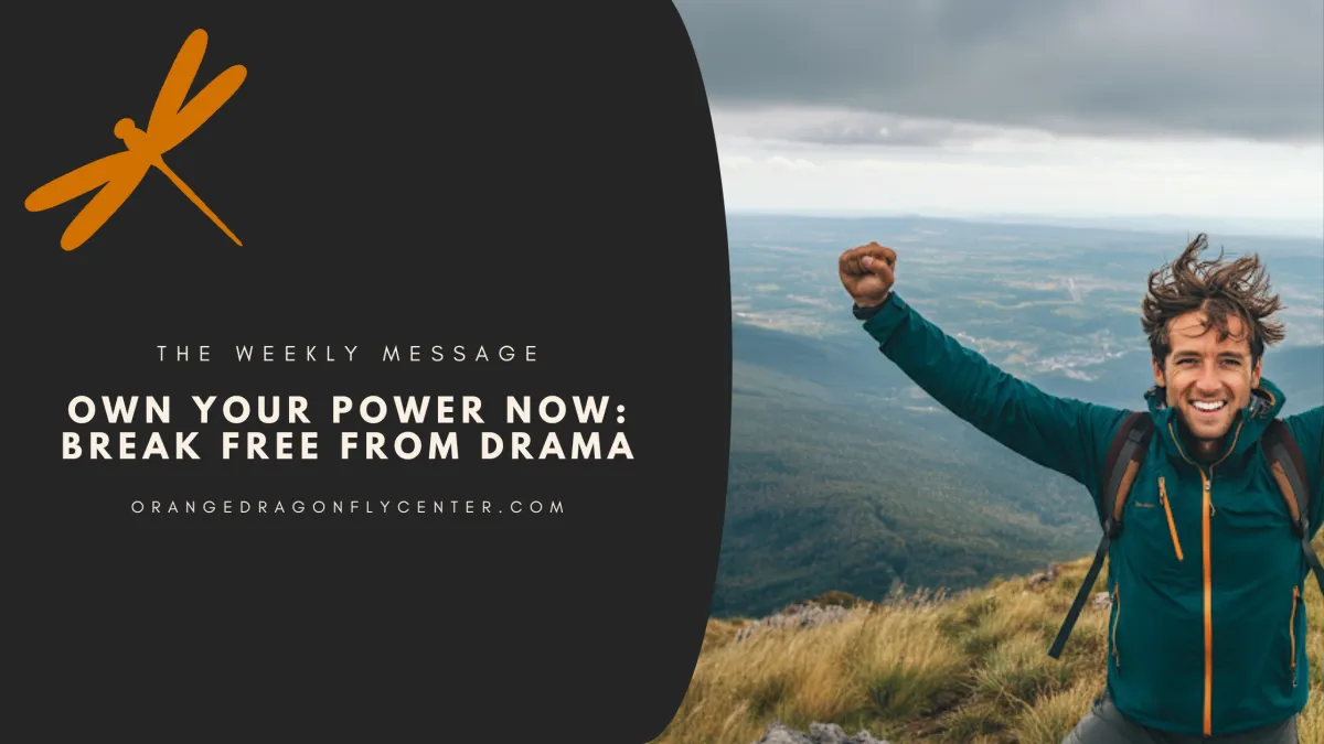 Own Your Power Now: Break Free From Drama