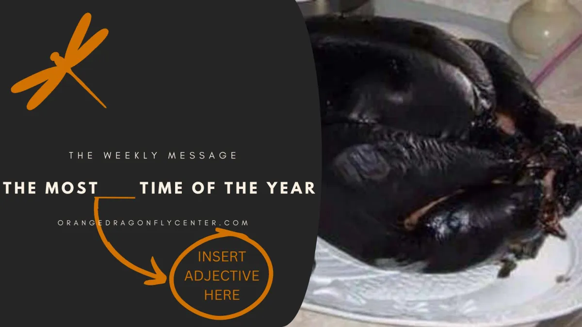 The Most ___Time of the Year
